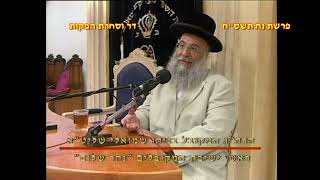 מרן רבנו עובדיה יוסף זצוק"ל זיע"א פרשת נח הלכות שביעית תשס"ח המקובל הגאון הרב בניהו שמואלי שליט "א (דר וסוחרת - הלוויין של מרן) - התמונה מוצגת ישירות מתוך אתר האינטרנט יוטיוב. זכויות היוצרים בתמונה שייכות ליוצרה. קישור קרדיט למקור התוכן נמצא בתוך דף הסרטון מרן רבנו עובדיה יוסף זצוק"ל זיע"א פרשת נח הלכות שביעית תשס"ח המקובל הגאון הרב בניהו שמואלי שליט "א (דר וסוחרת - הלוויין של מרן) - התמונה מוצגת ישירות מתוך אתר האינטרנט יוטיוב. זכויות היוצרים בתמונה שייכות ליוצרה. קישור קרדיט למקור התוכן נמצא בתוך דף הסרטון