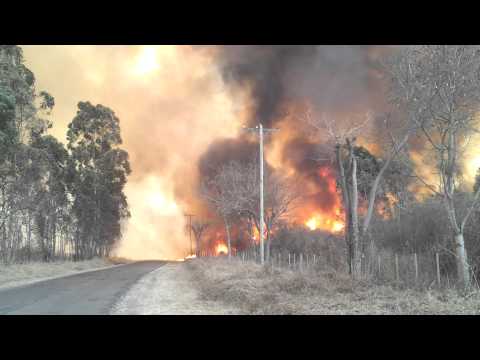 Incendio forestal