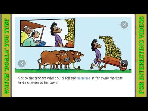 ENGLISH STORIES - TOO MANY BANANAS | SHORT STORIES FOR ALL TO LEARN AND IMPROVE