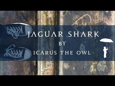 Jaguar Shark By Icarus The Owl (Lyric Video)
