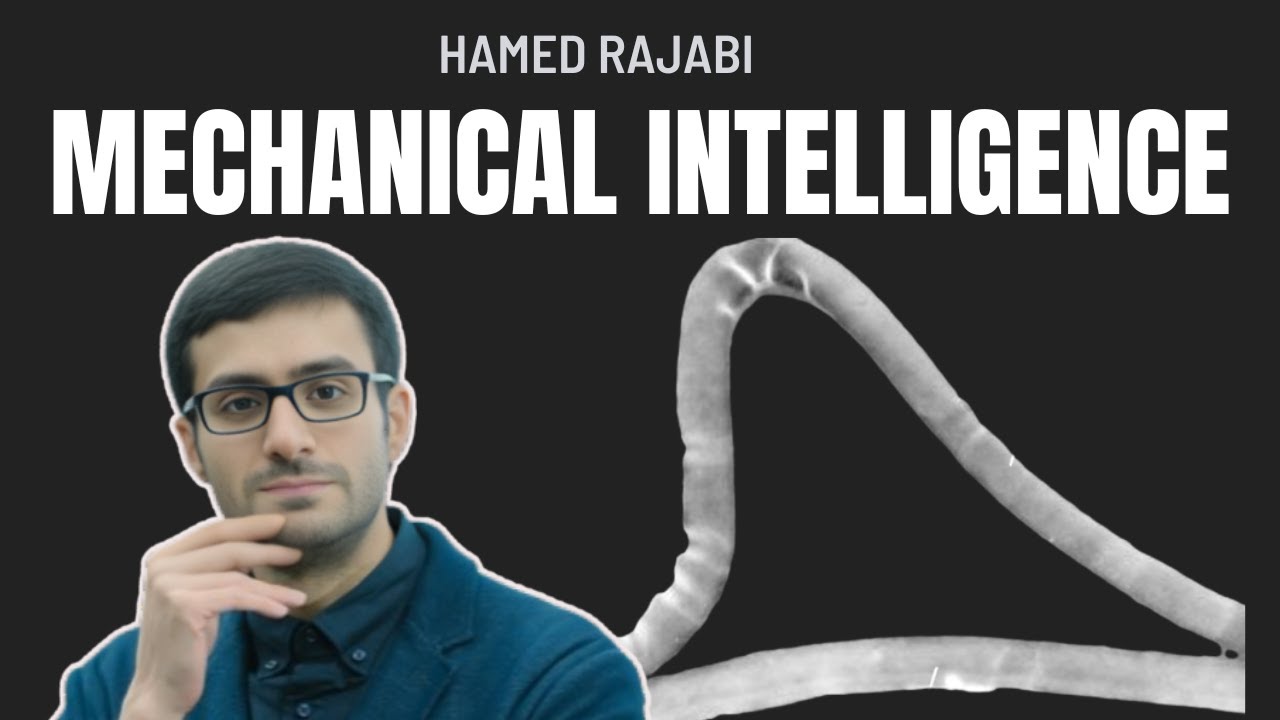 Hamed Rajabi; mechanical intelligence, insect wings, metamaterial, crack deflection, Marwa ElDiwiny