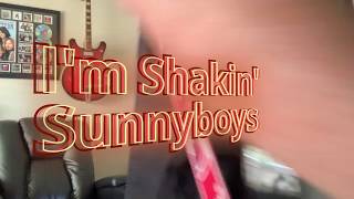 I&#39;m Shakin&#39; - Sunnyboys - Guitar cover