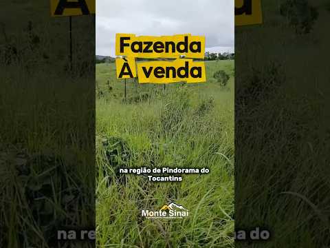 Pindorama do Tocantins- ótima para pecuária