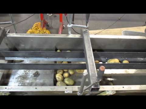 Kartoffeln sortieren WP 1