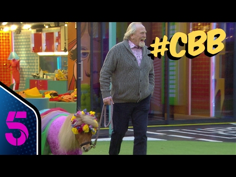 Top 5 tasks of CBB 2017