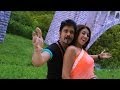 Bhai Movie Nemmadiga Song Trailer Nagarjuna Akkineni Richa Gangopadhya Devi Sri Prasad