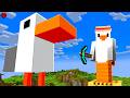 I Built A Giant Seagull Don T Ask Why