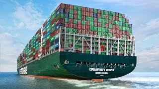 Life Inside the World