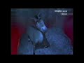 Shrek TV Trailer Promo 2001 In Cinemas June