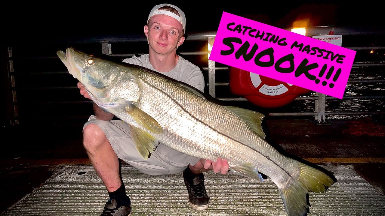 SNOOK Fishing Artificials! | Insanely Good Inlet Fishing!