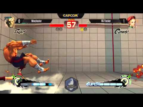 USF4 Winchester(Sagat) vs Flocker(Cammy) EVO 2014
