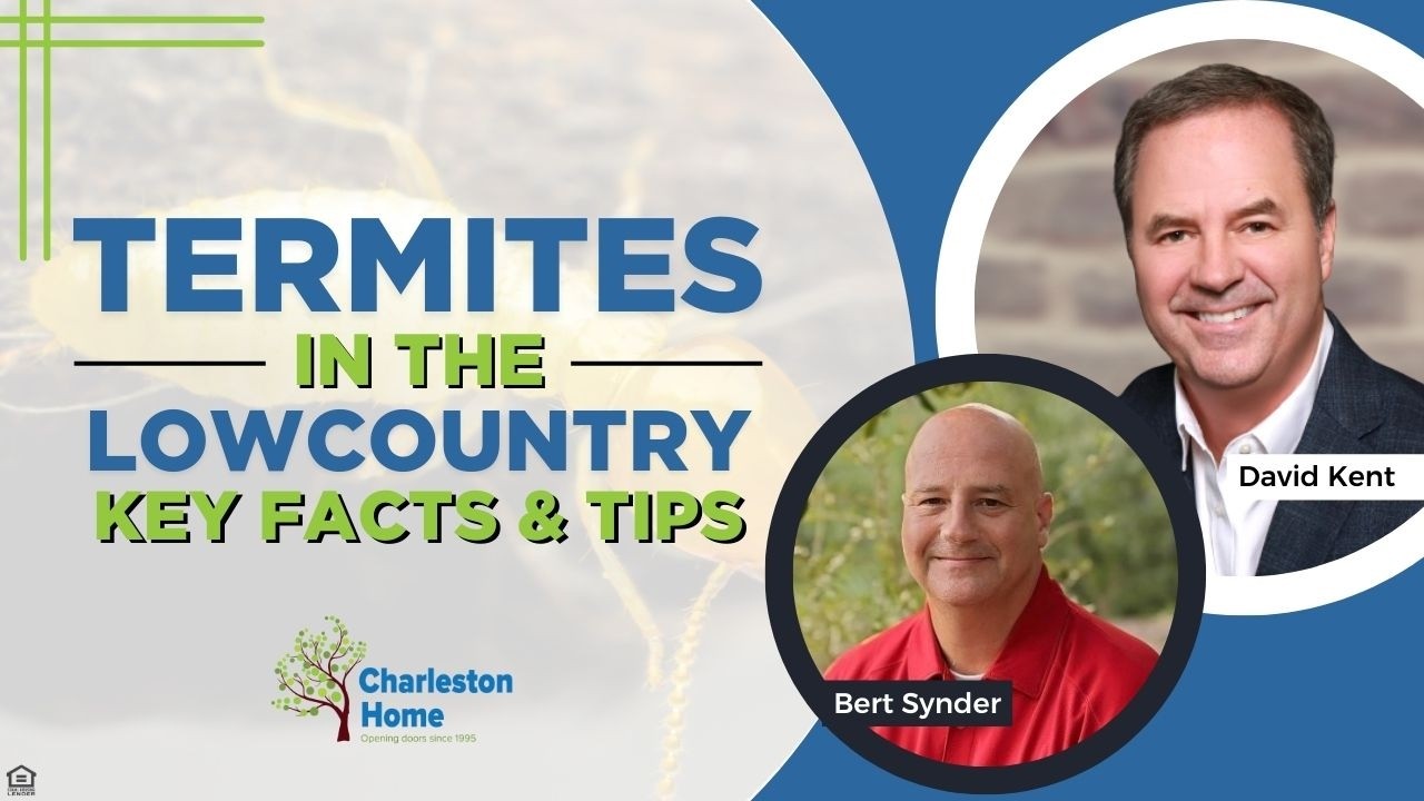 Termites in the Lowcountry with Bert Snyder