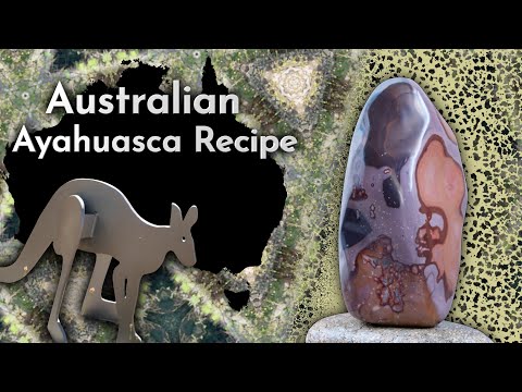An Australian Ayahuasca Recipe — With Acacia Acuminata And Syrian Rue