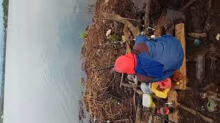 preview picture of video 'Spot danau mawang Gowa, panen nila'