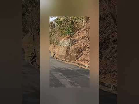 ❤️✌️ #ryder #shortsviral #travel #rydersujoy #viral #ytshorts #nature #shortsvideo #love