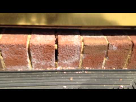 Pavement Ants Invade Home in Franklin Park, NJ