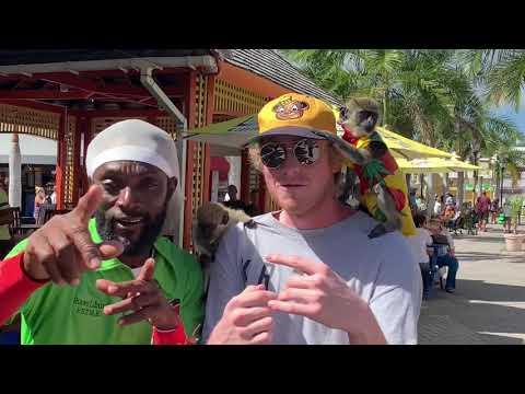 Alien Eddie - I'm A Fan (vlog edit)