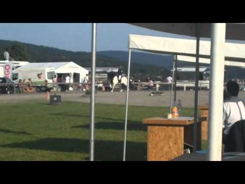 OSI Ellenbach 2011 - Nicole Kempf & Atli frá Norður-Hvammi