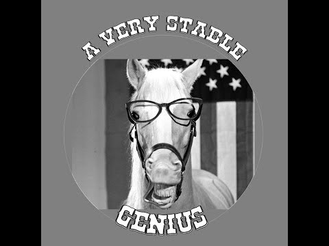 A Very Stable Genius