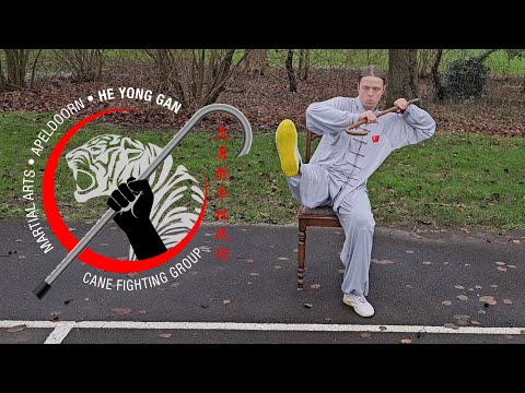 Cane Fighting: Sitting Form 'The Balanced Warrior' Martial Arts