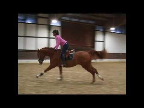 CICO 4j. v. Comte - Escudo VB 15.000,- Euro