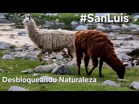 Descubriendo Nogoli con Amigos || Naturaleza en medio de las Montañas || Asado en Granja || Dique 👍🏼