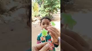 Download lagu Sharing chocolate candies crackers lollipop snacks #funny #snacks #viralvideo #shorts #viralshorts mp3