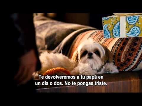 Siete Psicópatas