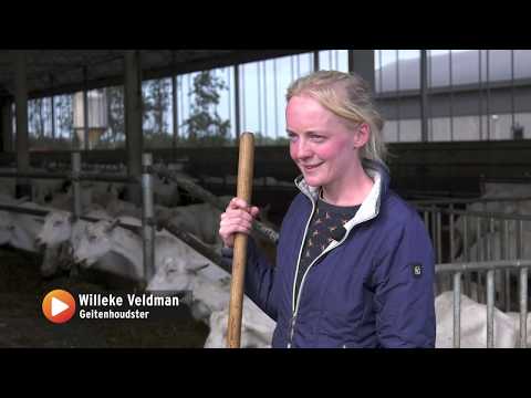 Nathalie den Dekker van het RTL programma In de ban van .. Bezoekt onze Kabrita geitenboerderij.