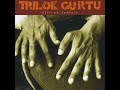 TRILOK GURTU - Lisa  (1999)