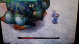 Final Fantasy Crystal Chronicles Echoes of time - Boss 6 - Giant Toad