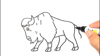How to DRAW a EASY BISON step by step Learn Wild Animals
