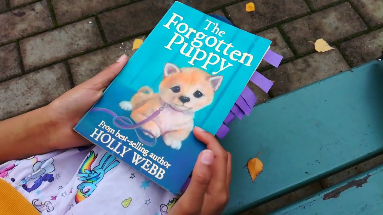 THE FORGOTTEN PUPPY : Kids' Book Review | Beautiful Autumn Colours