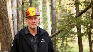 Interior Douglas-Fir Forest Stewardship. Part 1 - Context
