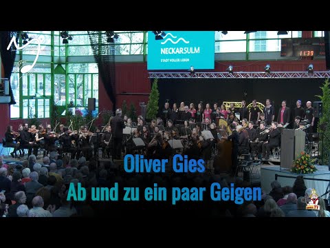 Ab und zu ein paar Geigen ○ Jugend-Sinfonieorchester Neckarsulm & Kreatief-Musical-Ensemble
