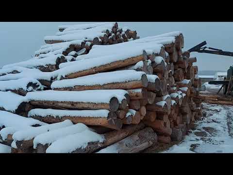 Holz hacken für den Winter