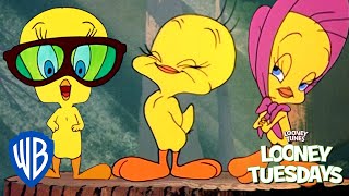 Looney Tuesdays | Tweety, an Icon for Everyone | Looney Tunes | WB Kids