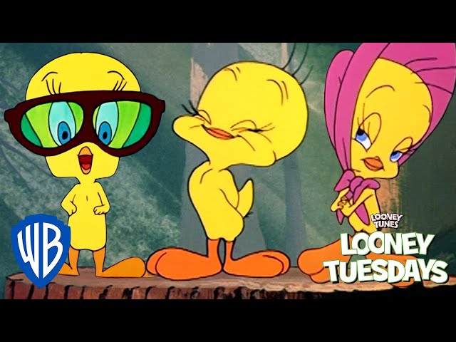 Vídeo relacionado con Looney Tunes Tweety Cute From Every Angle Camiseta