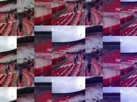 Tu sam, tu sam Zvezdo.... 🔴⚪💪