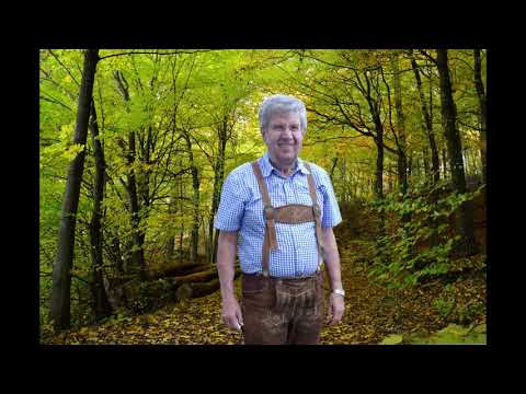 Bosl Hans  --  Der stille Waldweg