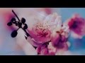 ♥BERNWARD KOCH - Close your eyes♥