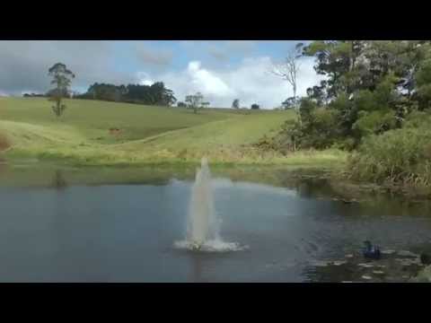 Middle Path Dancing Spectrum