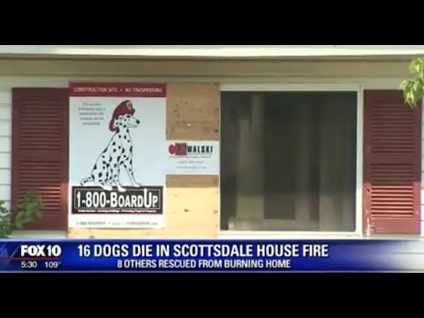 16 Dogs Die in Scottsdale House Fire -- Fox 10 Phoenix News