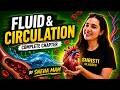 Human Fluid And Circulation Full Chapter Explained NEET Biology By Sneha Mam