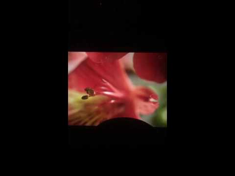 160710 tayeon butterflykiss VCR