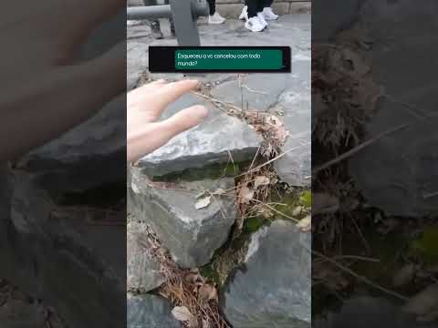 IPHONE DA SHOPEE 😭😭