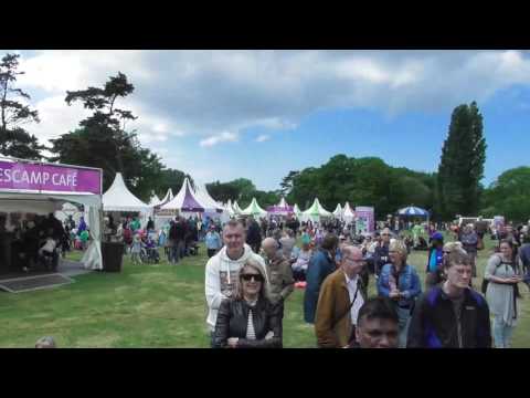 Polle Eduard and The Wizards zuiderpark1