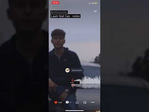 Pashanim feat. Lauin - Reden