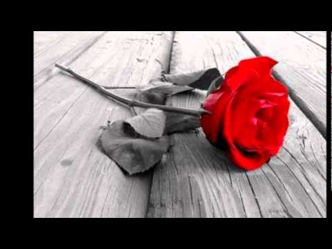 Til AUF (Arbeidernes Ungdomsfylking)