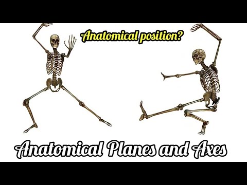 Anatomical position - Directional terms | Body planes and axis | Animation - Planes Axes of movement